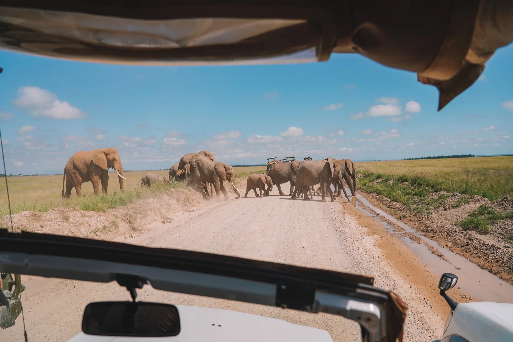 Looking Beyond the Big Five: Africa’s Most Exclusive & Luxury Safari Experiences