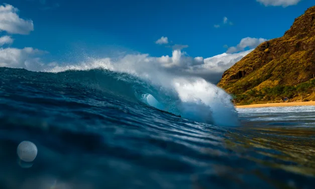 Swapping Maui for Oahu? Your sofa takes the barge