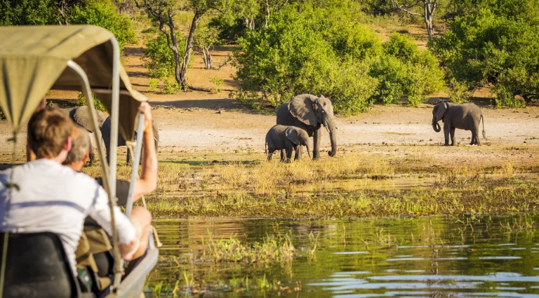 How many safari parks are too many?